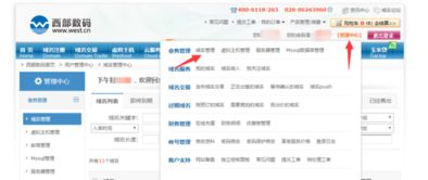 求助大神,域名解析問題