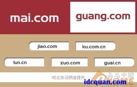 互聯網四大熱事下產生一些 吸金 域名