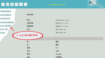 如何進行域名解析