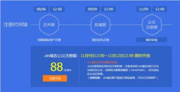 xin域名,2017年會發生什么變化
