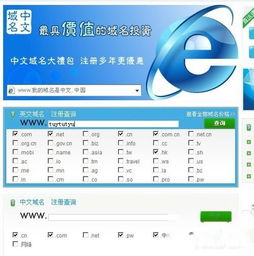 域名注冊(cè)購(gòu)買流程