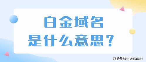 白金域名是什么