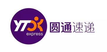 開拓國際中高端市場的圓通,迎來了新域名yto.top