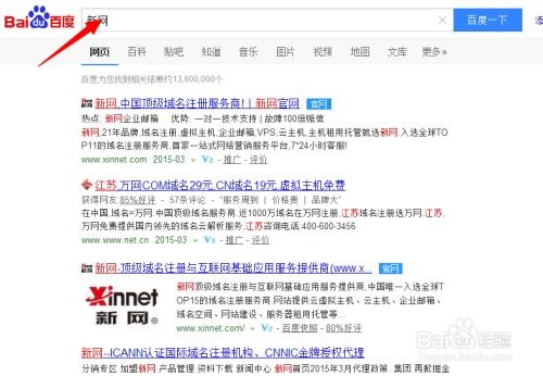 網上查看新網自己的域名情況