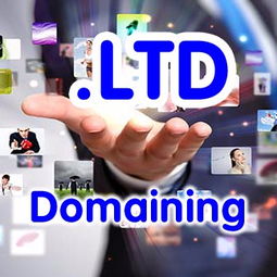 公司域名現在什么最流行 是 .ltd 域名嗎