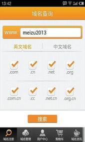 域名抵押 數字化時代的新型融資方式