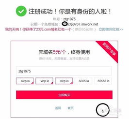 域名申請與抵押的注意事項