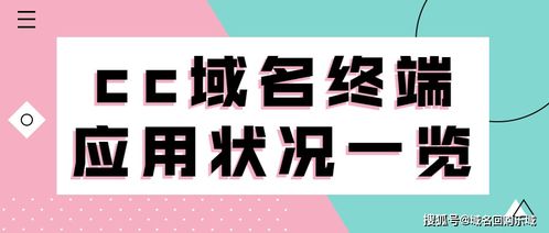 cc域名終端應用狀況與域名抵押分析