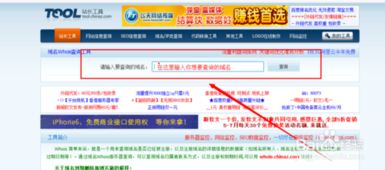 如何查看域名的到期時間及域名抵押相關知識